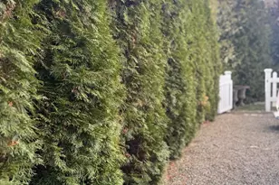 235 E Elm St, Granville, OH 43023 - Photo 43