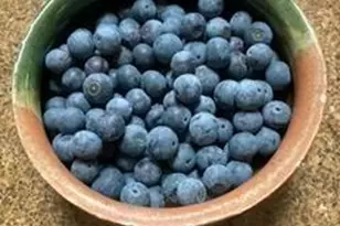 2870 BIS Rd SW, Lancaster, OH 43130 - Photo 3