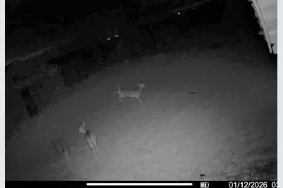 2105 Stonerock Road, Williamsport, OH 43164 - Photo 21