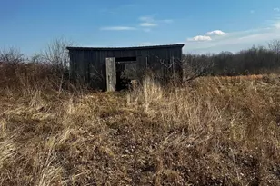 1454 Erwin Rd, Jackson, OH 45640 - Photo 31