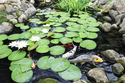 1263 Oakland Avenue, Columbus, OH 43212 - Photo 41