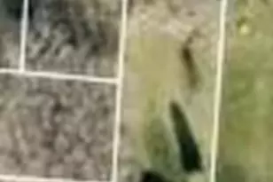 3140 State Route 529, Cardington, OH 43315 - Photo 21