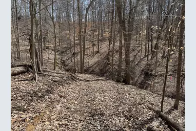 7507 Township Rd 215-A SE #(Tract 3 at Shawnee Woods), Corning, OH 43730 - Photo 3