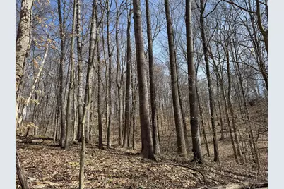 7507 Township Rd 215-A SE #(Tract 3 at Shawnee Woods), Corning, OH 43730 - Photo 23