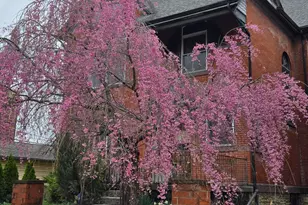 726 Franklin Ave, Columbus, OH 43205 - Photo 19