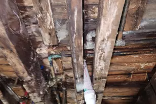 438 N Prospect St, Marion, OH 43302 - Photo 27