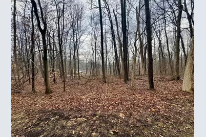 0 Forest Lane, Nashport, OH 43830 - Photo 7