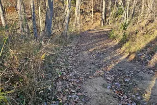 10150 County Rd 12 Rd, Corning, OH 43730 - Photo 27