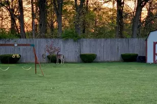 368 Colony Park Dr, Pickerington, OH 43147 - Photo 53