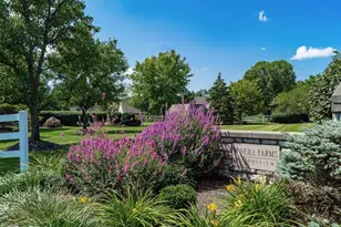 175 Macenroe Dr, Blacklick, OH 43004 - Photo 41