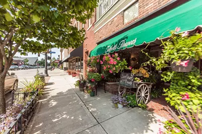 266 Black Walnut Drive, Westerville, OH 43082 - Photo 45