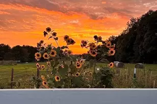 2270 Ginder Rd NW, Lancaster, OH 43130 - Photo 97