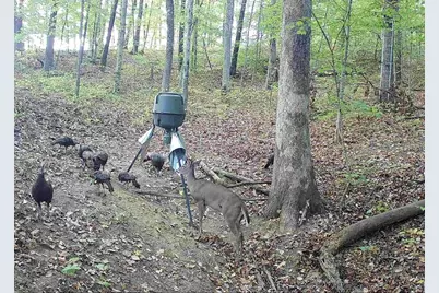 35702 Malone Road, Wilkesville, OH 45695 - Photo 89