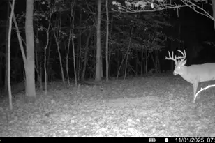 33341 Flat Run Rd, McArthur, OH 45651 - Photo 39