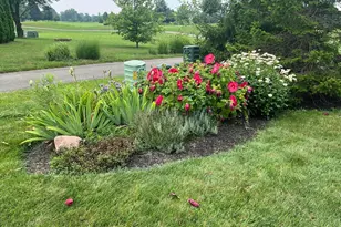 141 Kitdare Dr, Delaware, OH 43015 - Photo 43