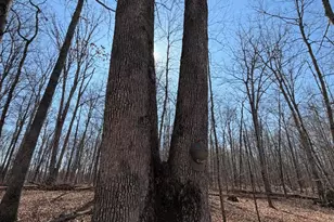 2195 Pumpkin Ridge Rd, West Union, OH 45693 - Photo 65