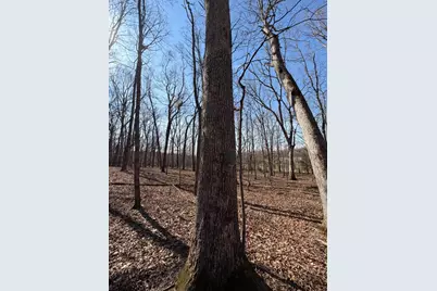 2195 Pumpkin Ridge Road, West Union, OH 45693 - Photo 73