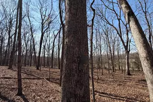 2195 Pumpkin Ridge Rd, West Union, OH 45693 - Photo 73