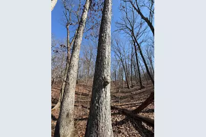 2195 Pumpkin Ridge Road, West Union, OH 45693 - Photo 55