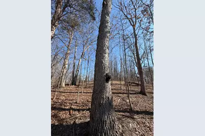 2195 Pumpkin Ridge Road, West Union, OH 45693 - Photo 21