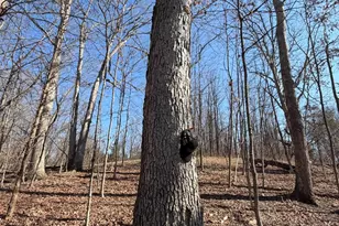 2195 Pumpkin Ridge Rd, West Union, OH 45693 - Photo 21