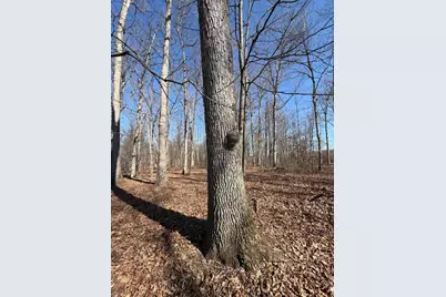 2195 Pumpkin Ridge Road, West Union, OH 45693 - Photo 59