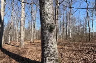 2195 Pumpkin Ridge Rd, West Union, OH 45693 - Photo 59