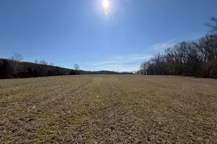 2195 Pumpkin Ridge Rd, West Union, OH 45693 - Photo 35