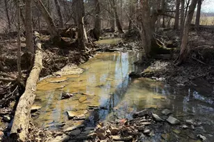 2195 Pumpkin Ridge Rd, West Union, OH 45693 - Photo 53