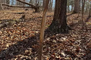 2195 Pumpkin Ridge Rd, West Union, OH 45693 - Photo 27