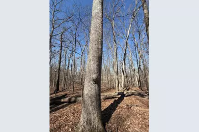 2195 Pumpkin Ridge Road, West Union, OH 45693 - Photo 75