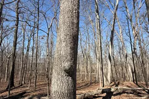 2195 Pumpkin Ridge Rd, West Union, OH 45693 - Photo 75