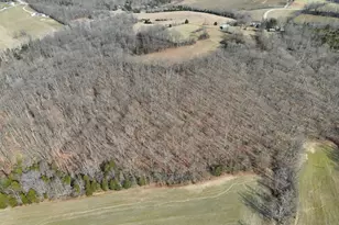 2195 Pumpkin Ridge Rd, West Union, OH 45693 - Photo 11