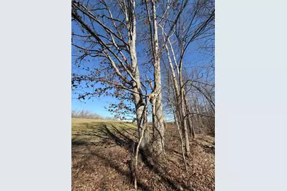 2195 Pumpkin Ridge Road, West Union, OH 45693 - Photo 33