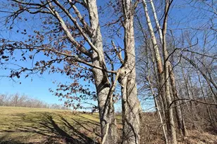 2195 Pumpkin Ridge Rd, West Union, OH 45693 - Photo 33