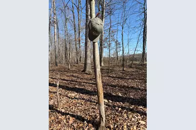 2195 Pumpkin Ridge Road, West Union, OH 45693 - Photo 57