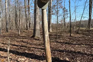 2195 Pumpkin Ridge Rd, West Union, OH 45693 - Photo 57