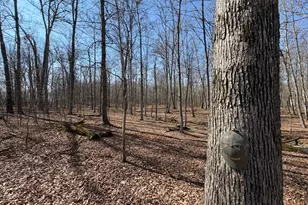 2195 Pumpkin Ridge Rd, West Union, OH 45693 - Photo 67