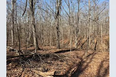 2195 Pumpkin Ridge Road, West Union, OH 45693 - Photo 23