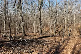 2195 Pumpkin Ridge Rd, West Union, OH 45693 - Photo 23