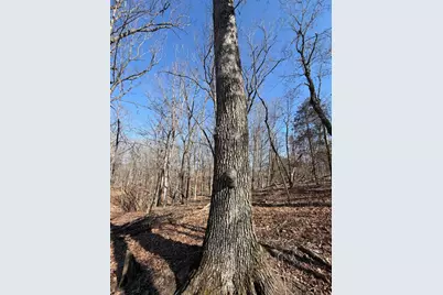 2195 Pumpkin Ridge Road, West Union, OH 45693 - Photo 25