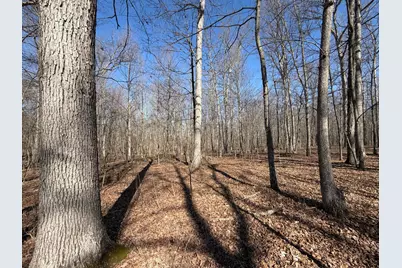 2195 Pumpkin Ridge Road, West Union, OH 45693 - Photo 61