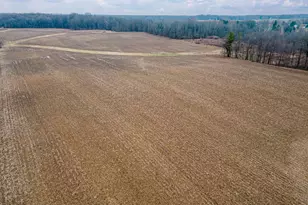 0 County Road 213, Marengo, OH 43334 - Photo 9