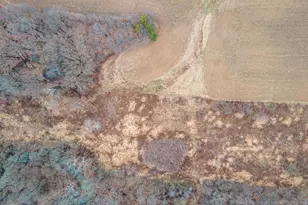 0 County Road 213, Marengo, OH 43334 - Photo 7