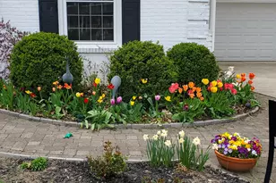 481 Clotts Rd, Columbus, OH 43230 - Photo 9