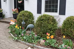 481 Clotts Rd, Columbus, OH 43230 - Photo 5