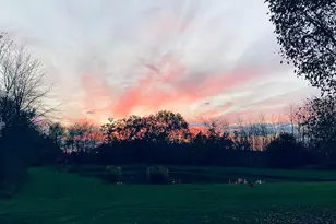 9530 Ward Rd, Plain City, OH 43064 - Photo 151