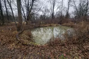 6136 Mink St SW, Pataskala, OH 43062 - Photo 31