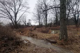 6136 Mink St SW, Pataskala, OH 43062 - Photo 33