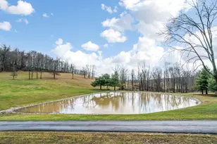 9273 Mulberry Rd, Mount Perry, OH 43760 - Photo 19